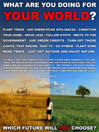 Environmental Awareness Poster - Your Turn!