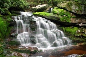 Nature Sounds That Surround Us