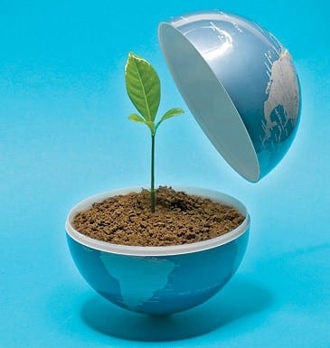 nature made products How important are nature made products?